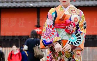 BoLoli菠萝社 - 新版兔女郎图集上线，柳侑绮又来挑逗我的审美神经了