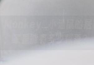 波萝社 - Monkey_小潘鼠的居家作品集：家里能有多少惊喜？